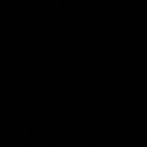 Meet your Posher, Blake